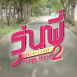 Puppy-Honey2