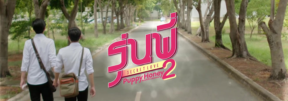 Puppy-Honey2